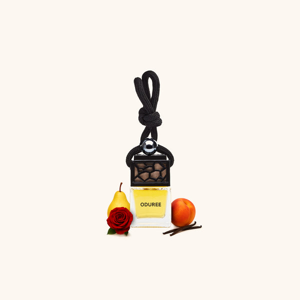 Autoparfum Hanger