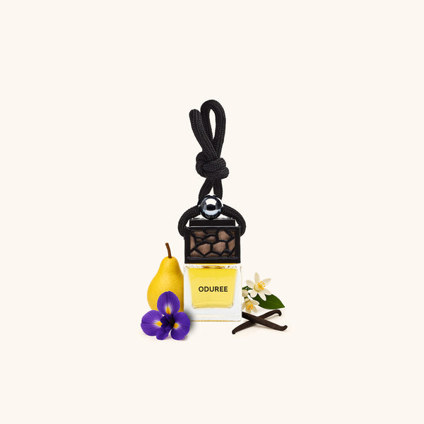 Autoparfum Hanger